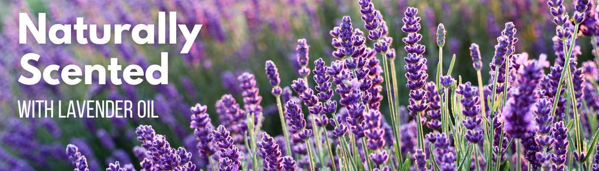Naturally scented with lavender